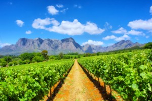 last minute flights to Cape Town